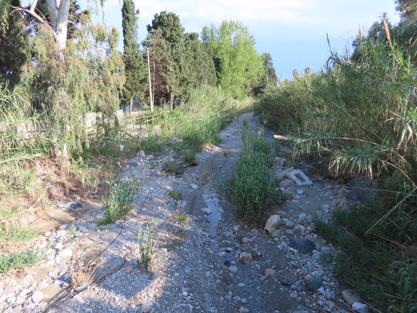 20250403-11_Italië_Sicilië_Giardini Naxos_20250406-161818