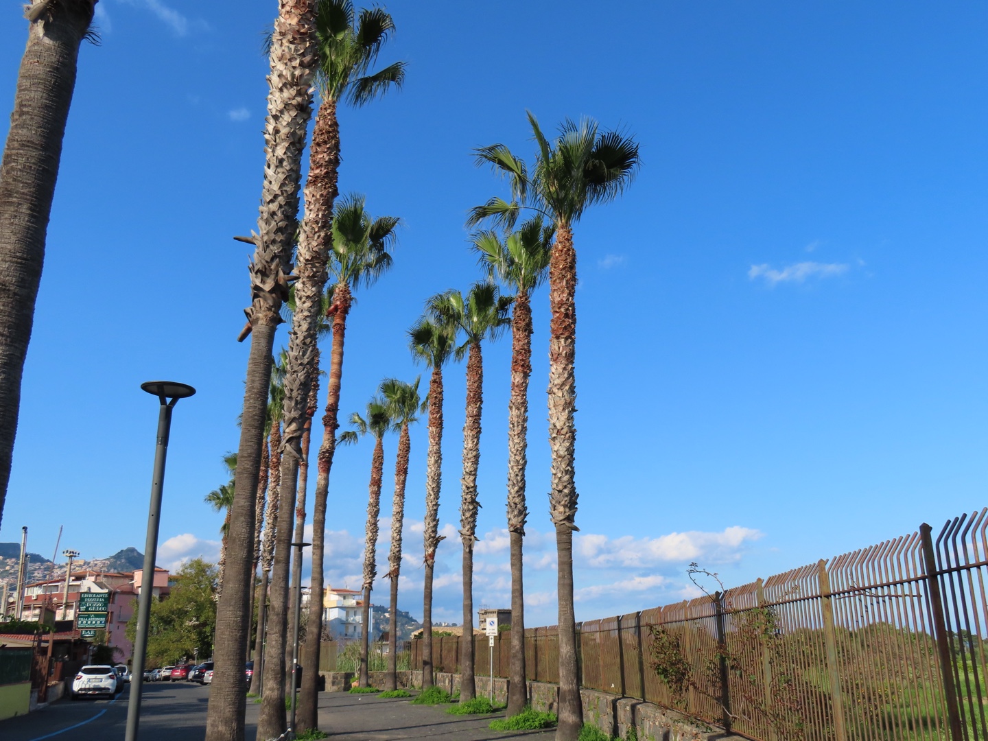 20250403-11_Italië_Sicilië_Giardini Naxos_20250406-162421